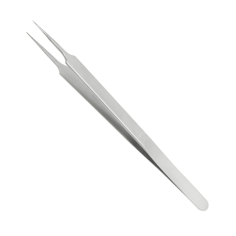 Straight Pointed Head