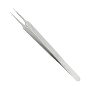 Straight Pointed Head